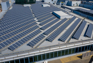 how much money do you save with solar panels australia